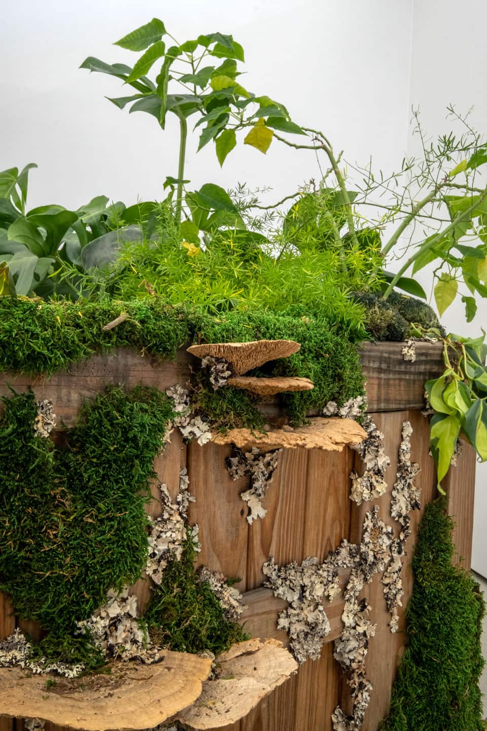 Peculiar Movements/Green Junctions at NAMARA projects